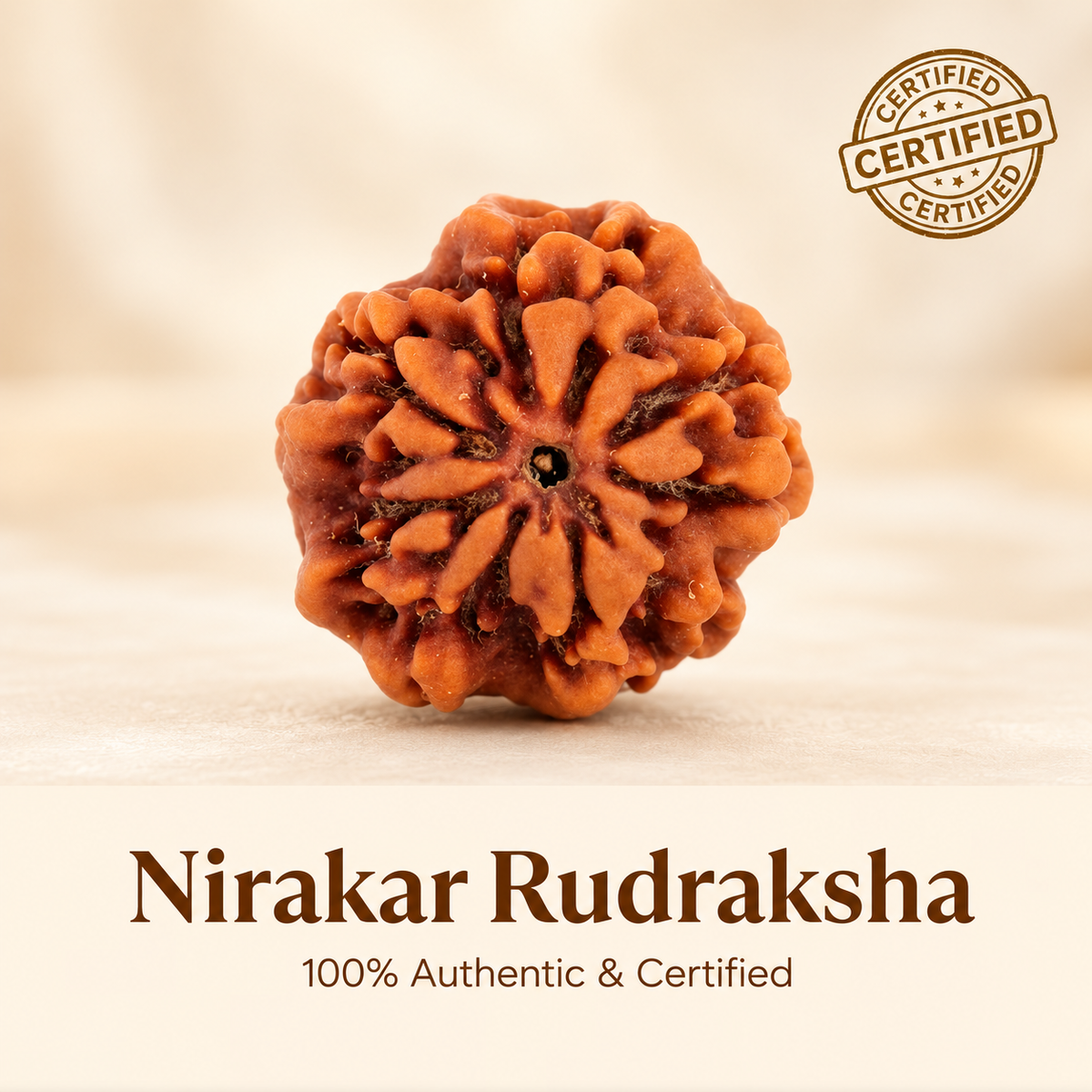 Siddh Nirakar Rudraksha (0 Mukhi)