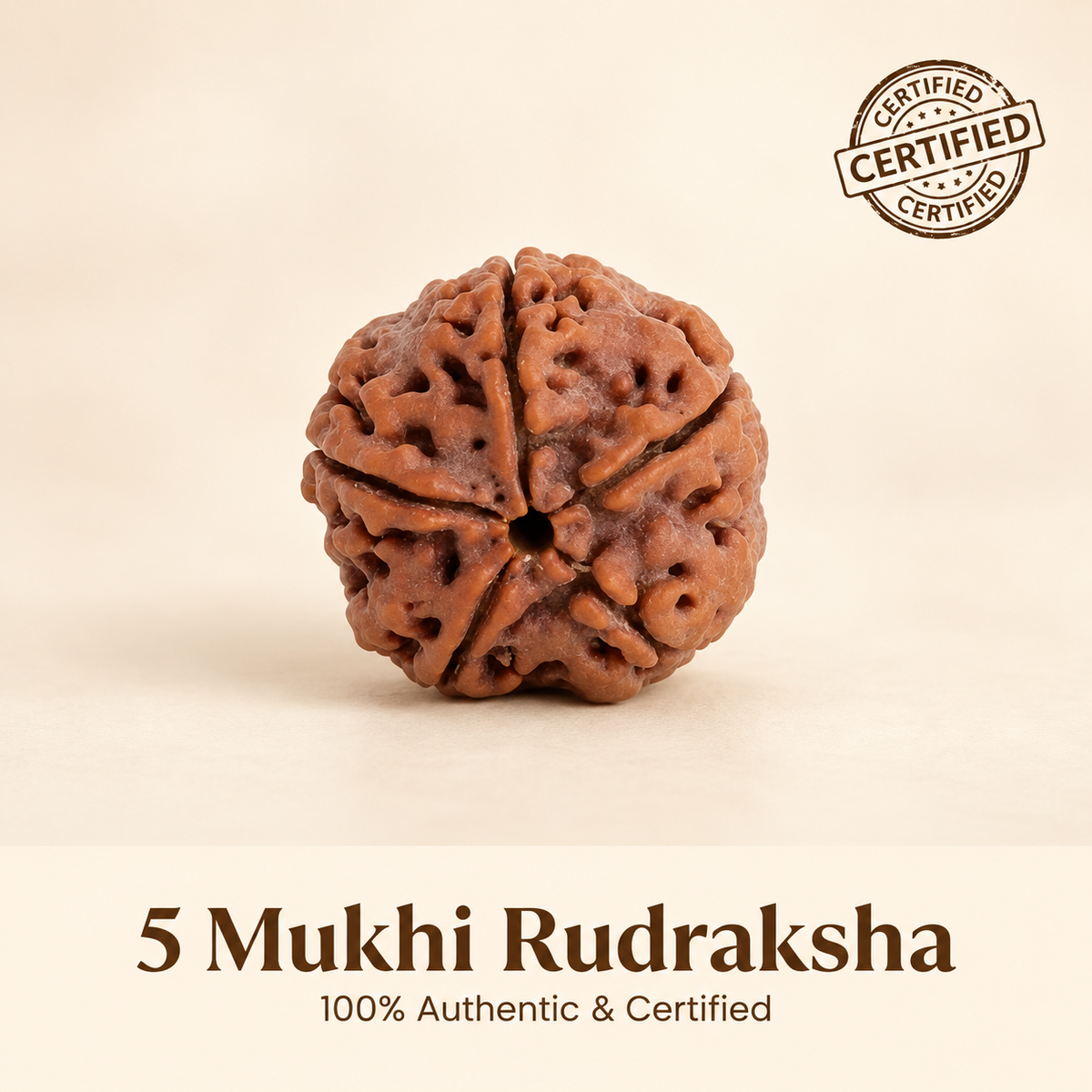5 Mukhi Rudraksha Bracelet