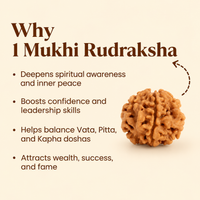 Rare Siddh 1 Mukhi Rudraksha
