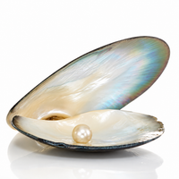Pearl (Moti ) Gemstone