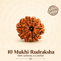 10 Mukhi Rudraksh