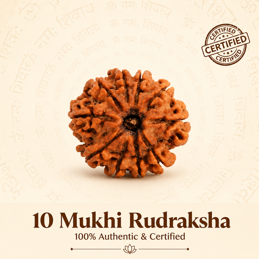 10 Mukhi Rudraksh