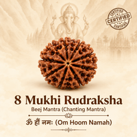 8 Mukhi Rudraksh