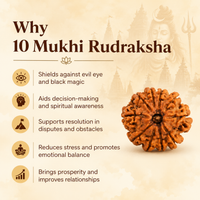 10 Mukhi Rudraksh