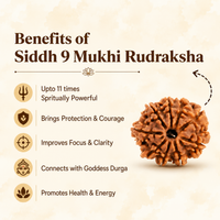 9 Mukhi Rudraksh