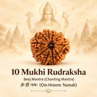 10 Mukhi Rudraksh
