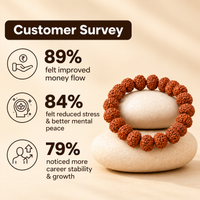 7 Mukhi Rudraksha Bracelet
