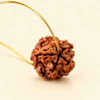 Rare Siddh 1 Mukhi Rudraksha