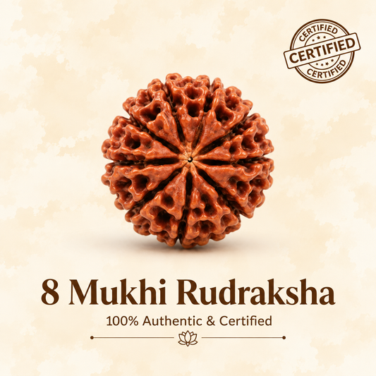 8 Mukhi Rudraksh