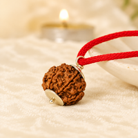 6 Mukhi Rudraksh