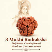 3 Mukhi Rudraksh