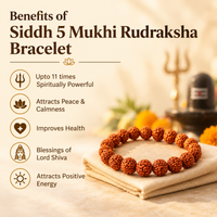 5 Mukhi Rudraksha Bracelet