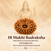 Siddh 18 Mukhi Rudraksha