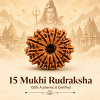 Siddh 15 Mukhi Rudraksha