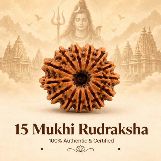 Siddh 15 Mukhi Rudraksha