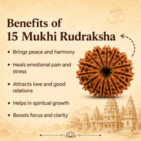 Siddh 15 Mukhi Rudraksha