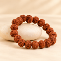 7 Mukhi Rudraksha Bracelet