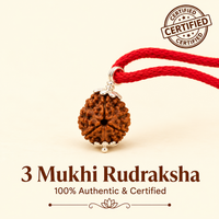 3 Mukhi Rudraksh