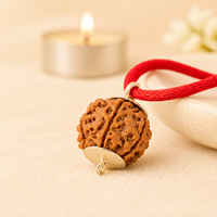 4 Mukhi Rudraksh