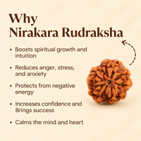 Siddh Nirakar Rudraksha (0 Mukhi)
