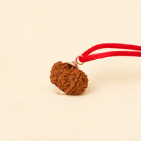 11 Mukhi Rudraksh