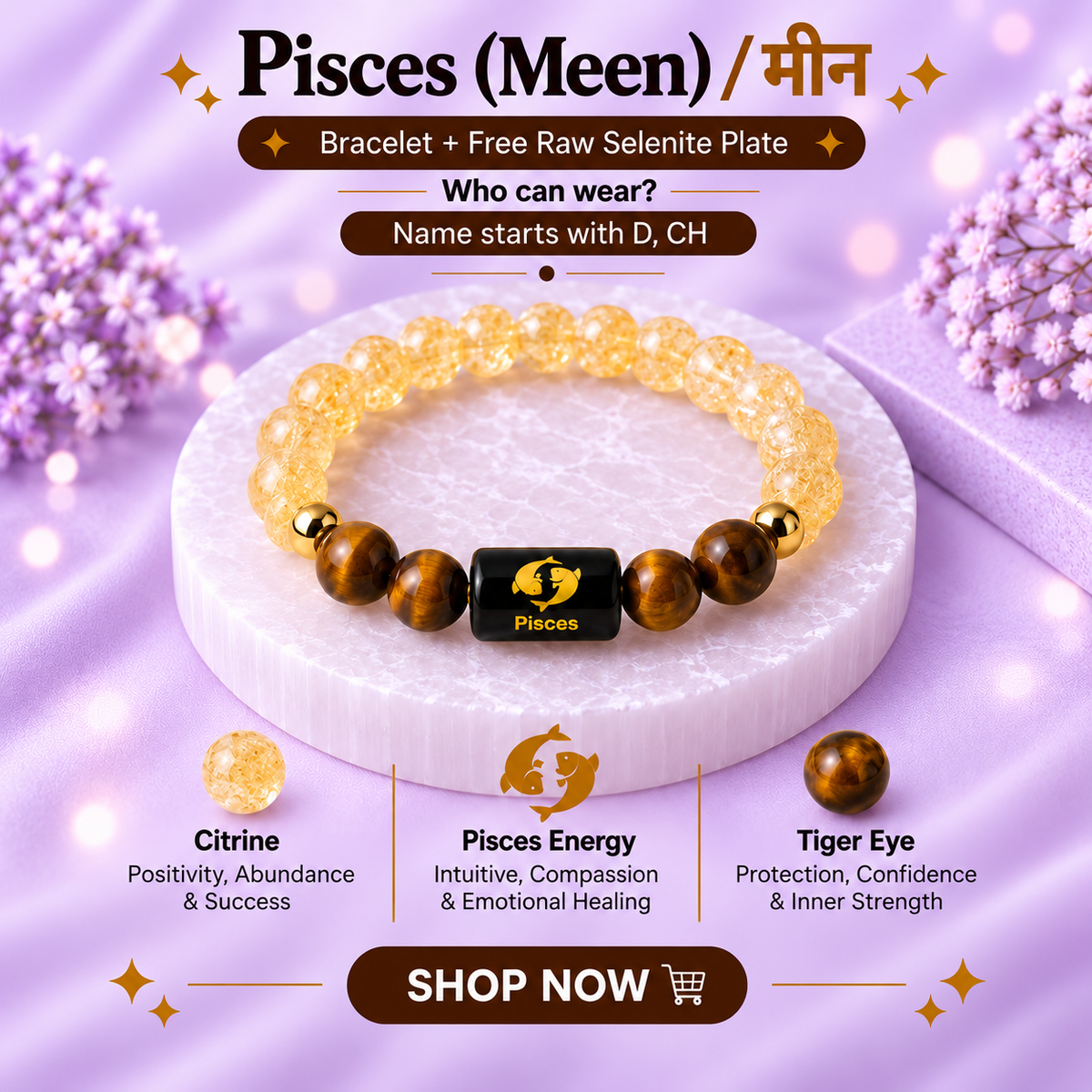 Pisces (मीन राशि) Zodiac Citrine & Tiger Eye Bracelet