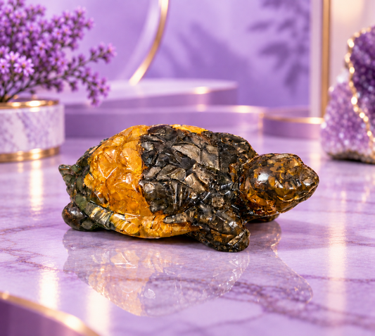 Dhanyog Tortoise (kacchua)