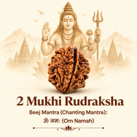 Nepal Origin 2 Mukhi Rudraksha