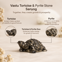 Vastu Pyrite Tortoise (Kachhua)