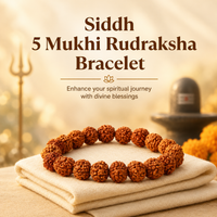 5 Mukhi Rudraksha Bracelet