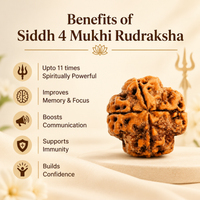 4 Mukhi Rudraksh