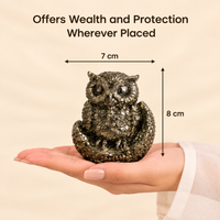 Pyrite Owl