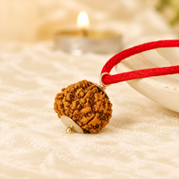 8 Mukhi Rudraksh